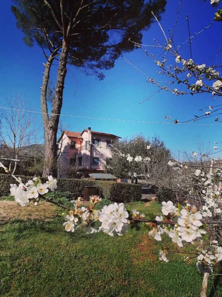 Casone primavera