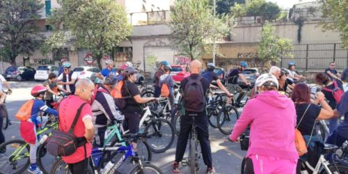 Pedalo, Scopro, Incontro 27 ottobre 2019