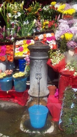 Maria_Cristina_Fieni_-_Via_Orvieto
